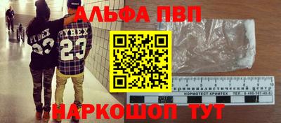 дмт Кингисепп