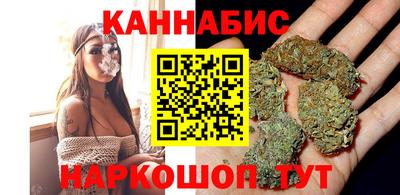 дмт Кингисепп