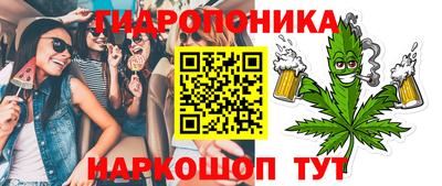 дмт Кингисепп