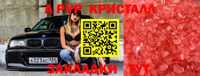 стафф Кимры