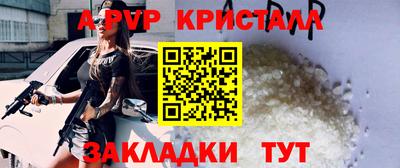 дмт Кингисепп