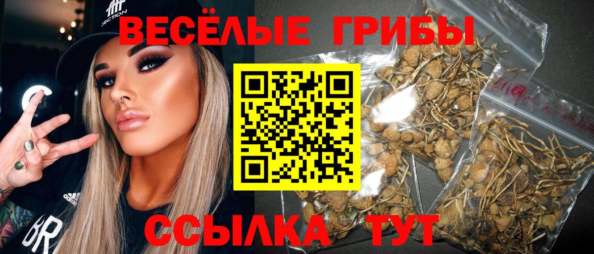 Галлюциногенные грибы прущие грибы  Вход с VPN  Кузнецк 