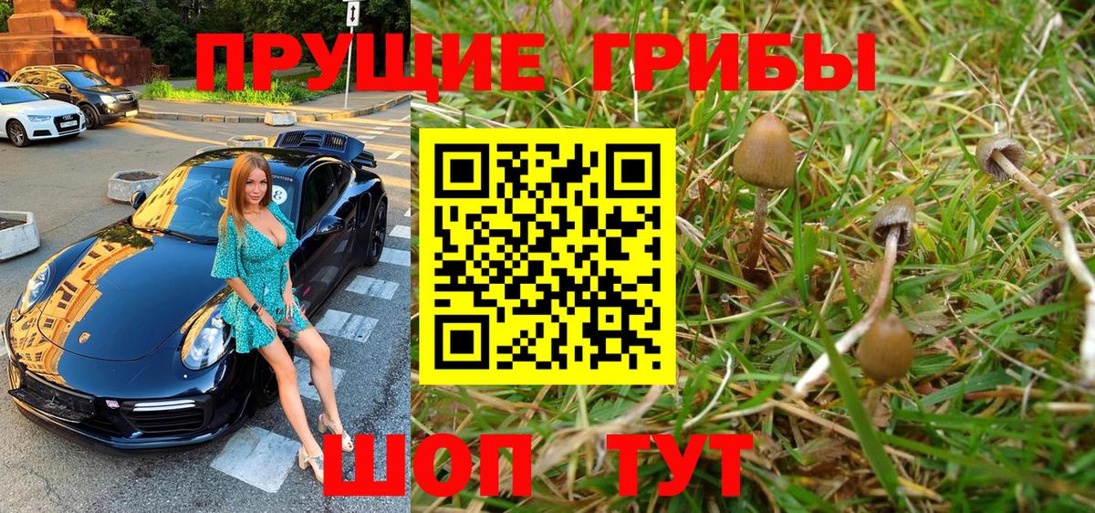 Галлюциногенные грибы мухоморы Кузнецк